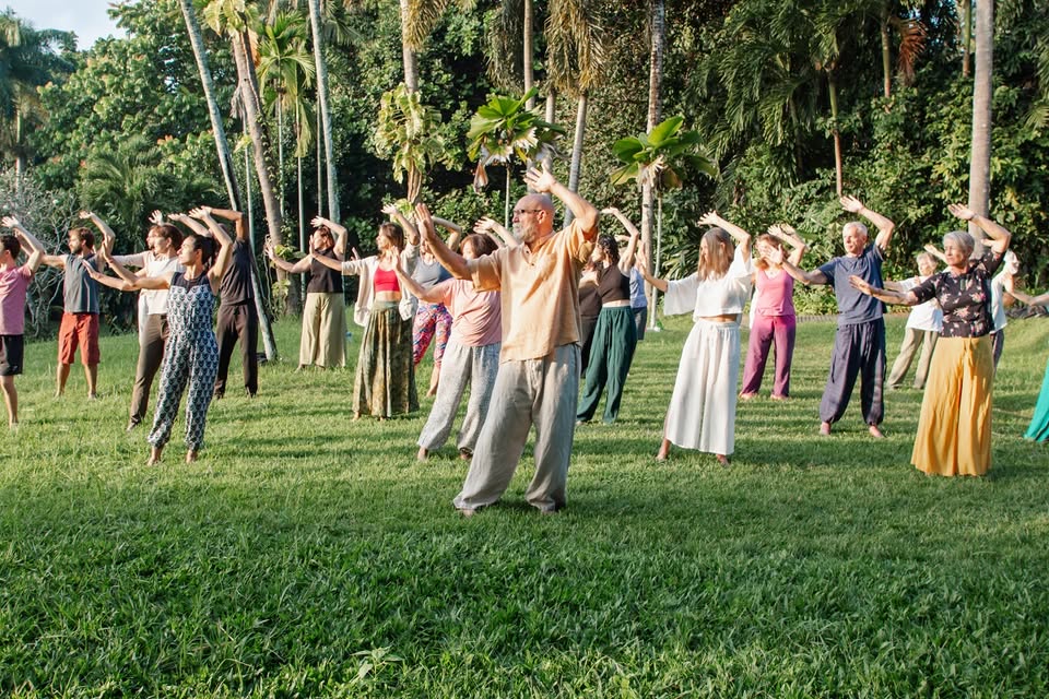 The Joy of Qi Gong | The Woodshed